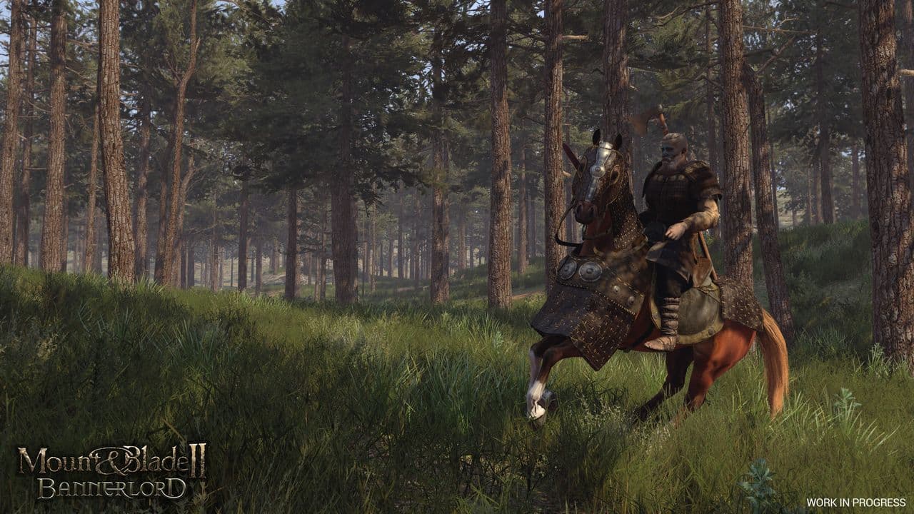 Captura 6 de Mount & Blade II: Bannerlord