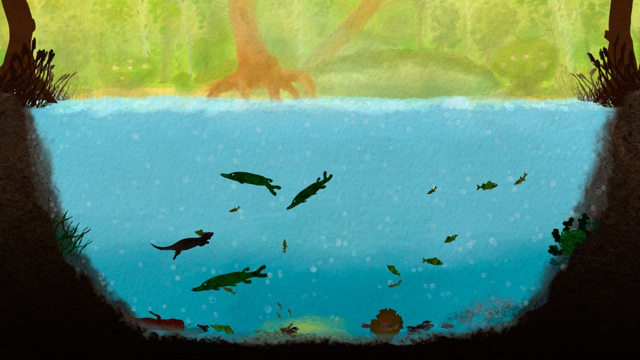 Captura 2 de Among Ripples