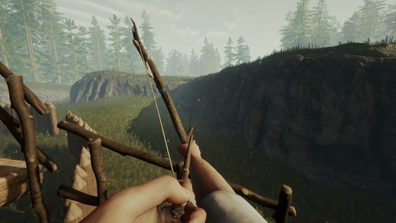 Captura 5 de The Forest