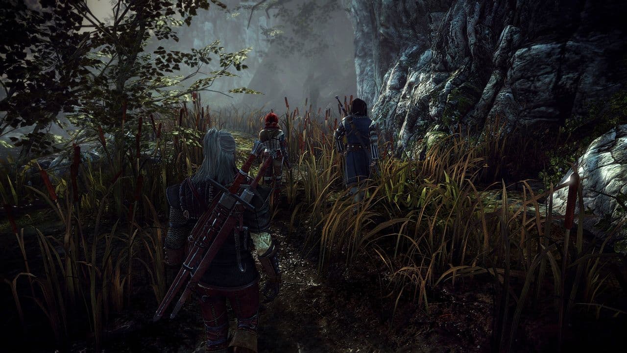 Captura 5 de The Witcher 2: Assassins of Kings