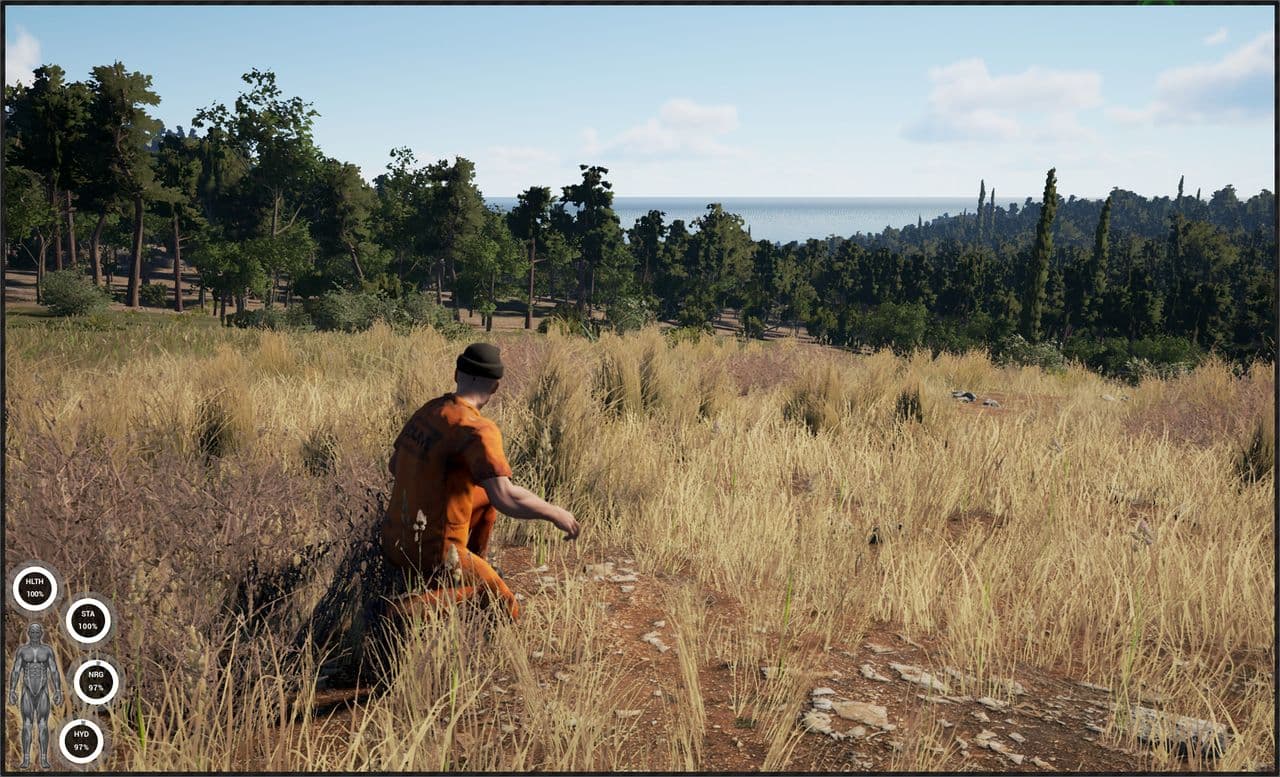 Captura 1 de SCUM
