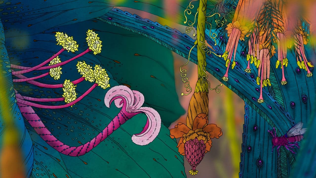 Captura 1 de Morphopolis