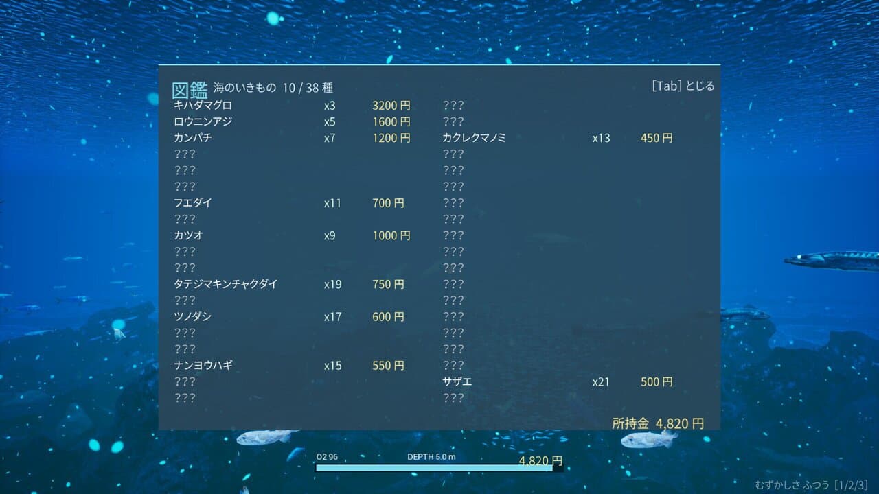 蒼海 -AOMI