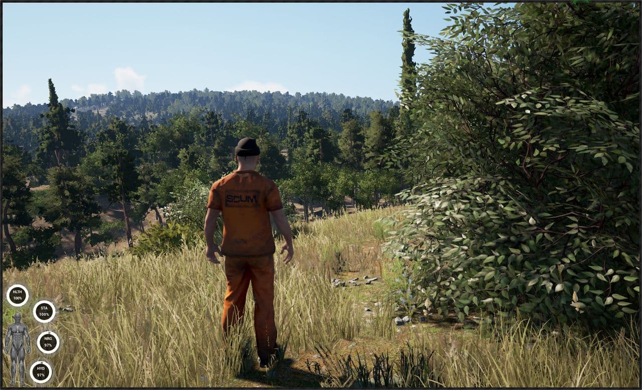 Captura 3 de SCUM