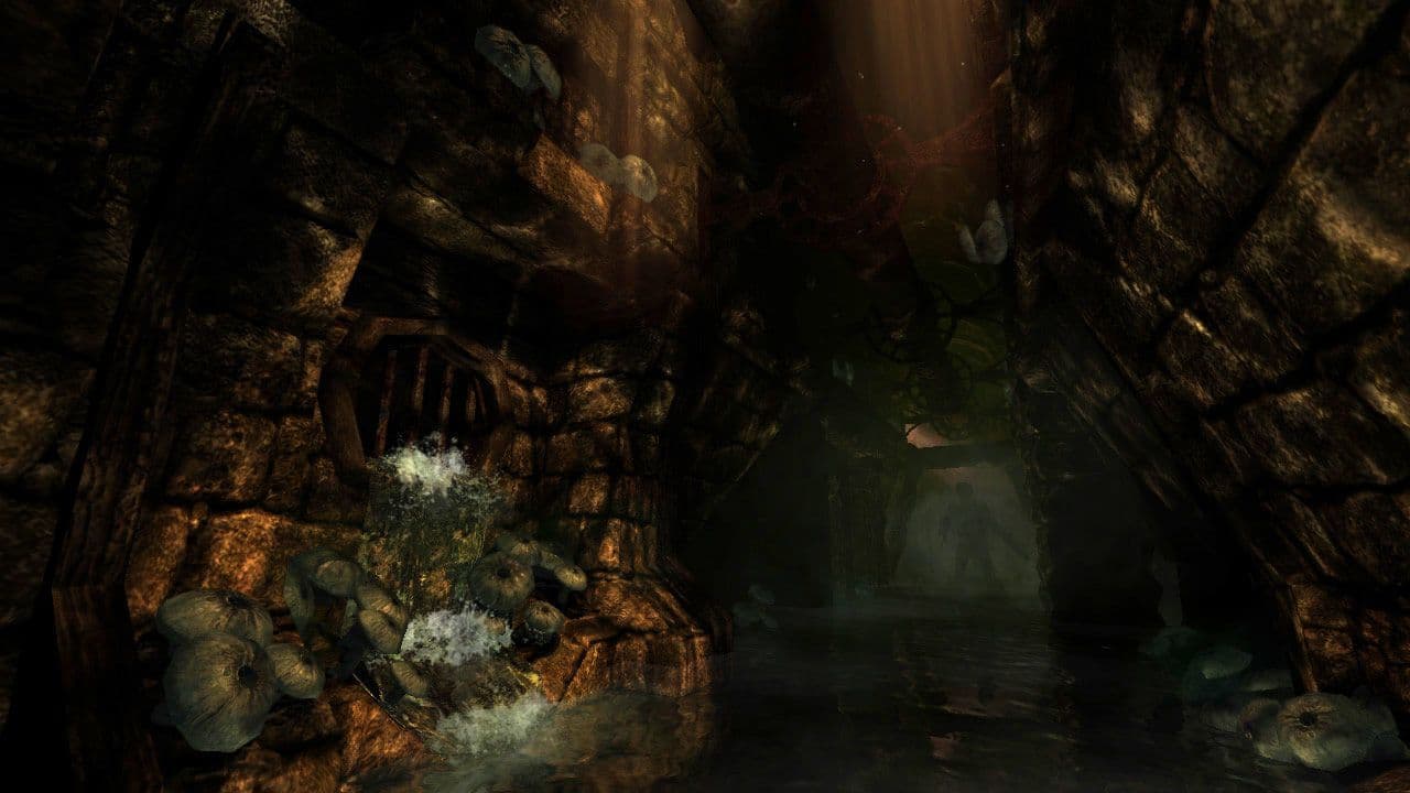 Captura 5 de Amnesia: The Dark Descent